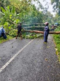 KSB  mulyo Raharjo bergerak