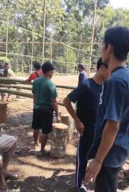 Minggu Produktif